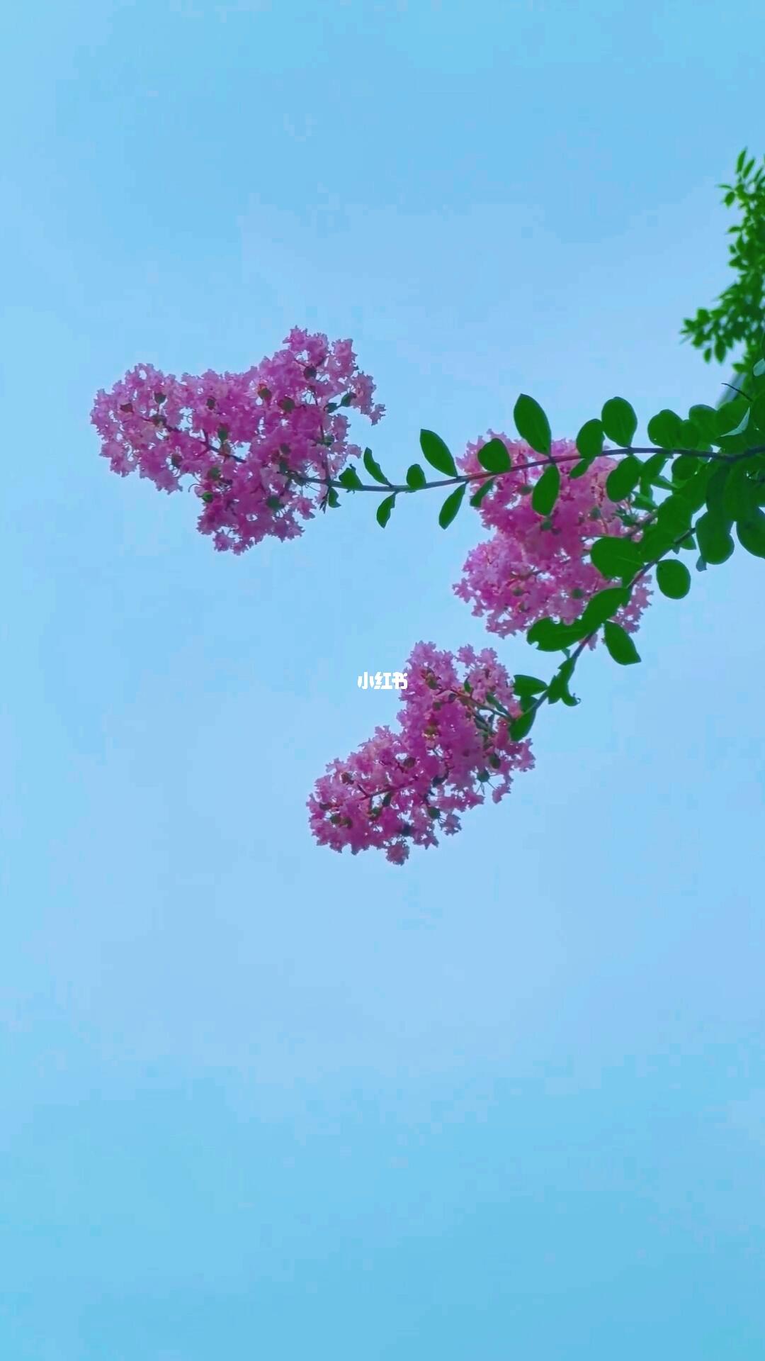 #我的100个心动瞬间[话题]# #下雨的夜晚[话题]# #愿你天黑有灯下雨有伞[话题]# #突如其来的雨[话题]# #雨下的那么认真[话题]# #就算大雨让这座城市颠倒[话题]# #最美不过下雨天[话题]# #雨[话题]# #在雨中奔跑[话题]# #我的城市在下雨[话题]#